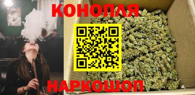 тгк Будённовск