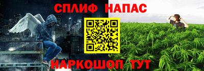 тгк Будённовск