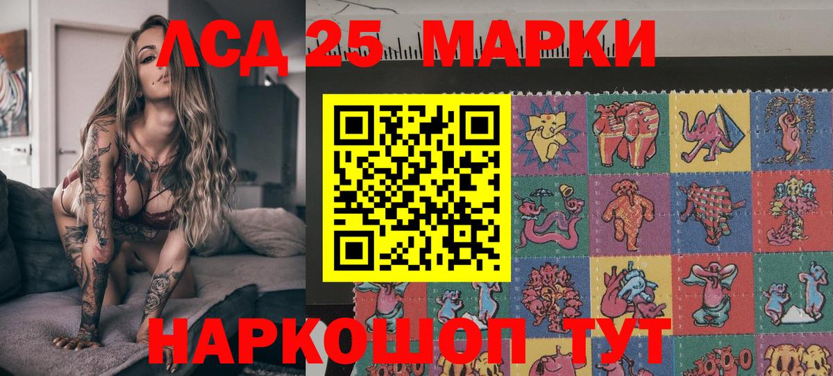 Наркотические марки 1500мкг  Наркотические марки 1500мкг  Вход с VPN  Марки N-bome  Лесной 
