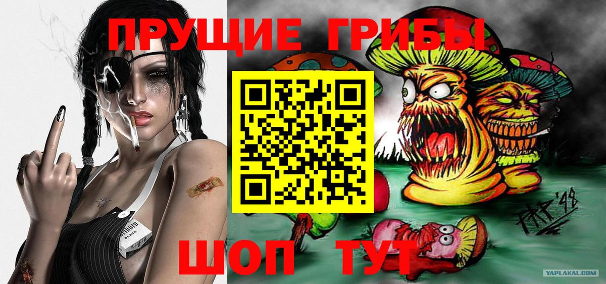 Галлюциногенные грибы прущие грибы Лесной