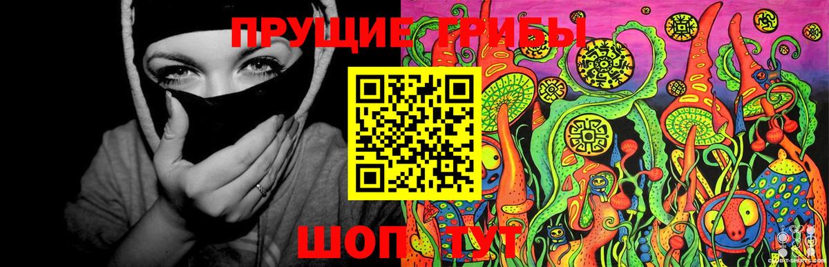 Псилоцибиновые грибы MAGIC MUSHROOMS  Вход с VPN  Лесной 